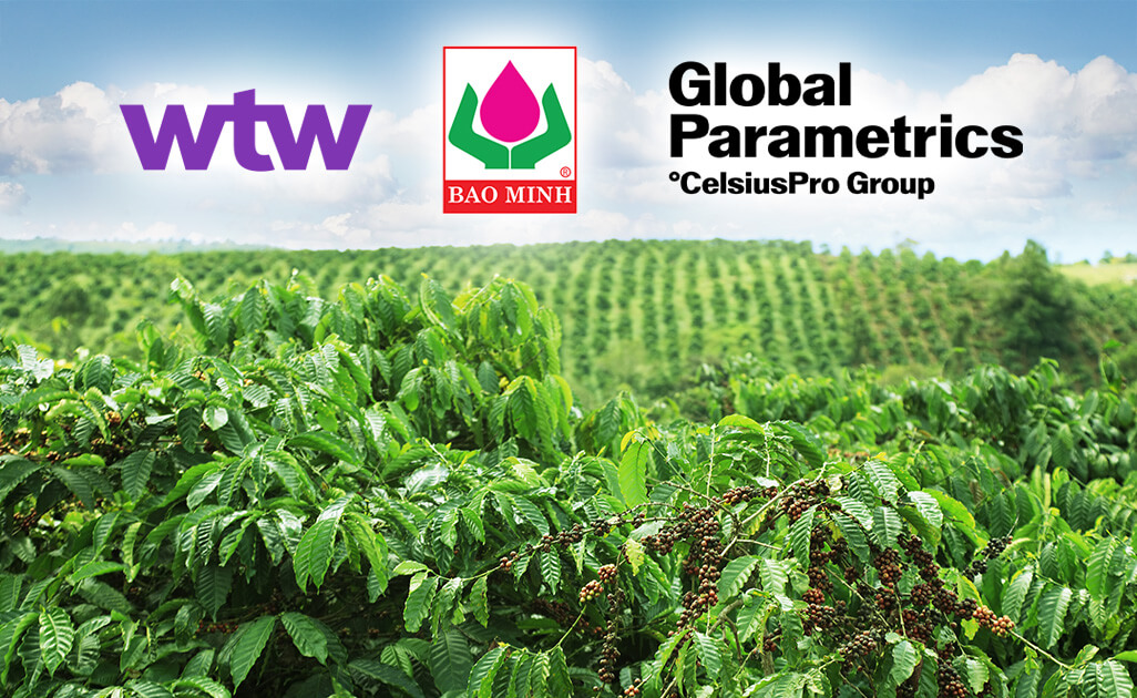 Willis, Global Parametrics deliver parametric payouts to Vietnam coffee farmers after Typhoon Kalmaegi