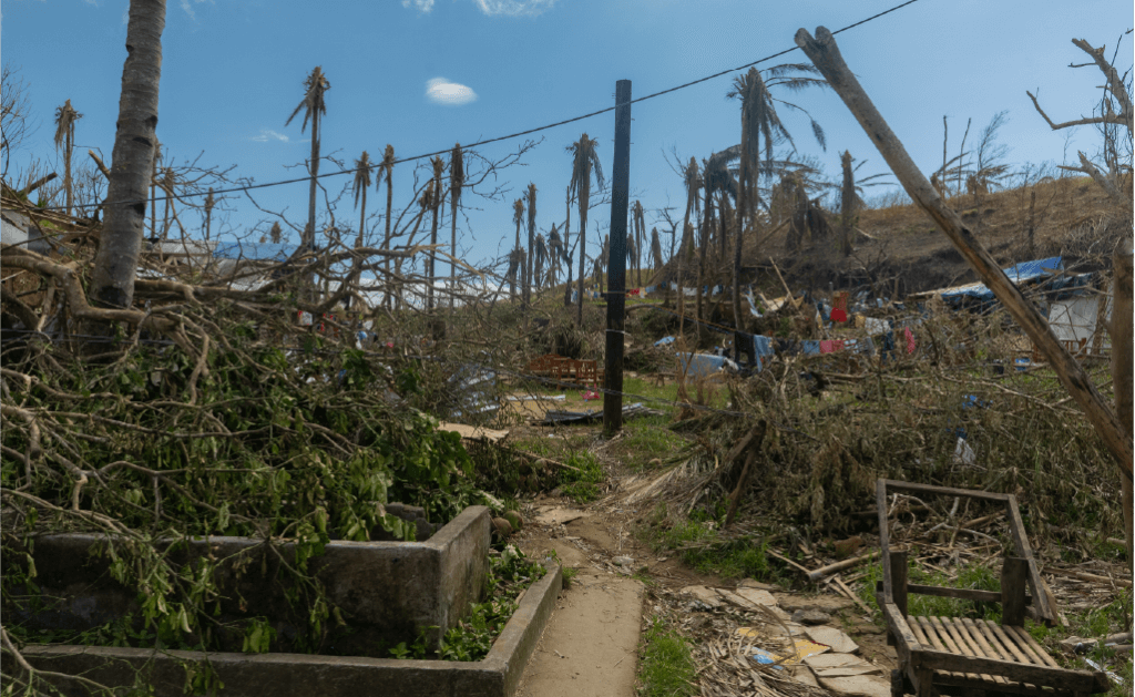 Typhoon Odette survivors in the Philippines sue Shell seeking corporate ...