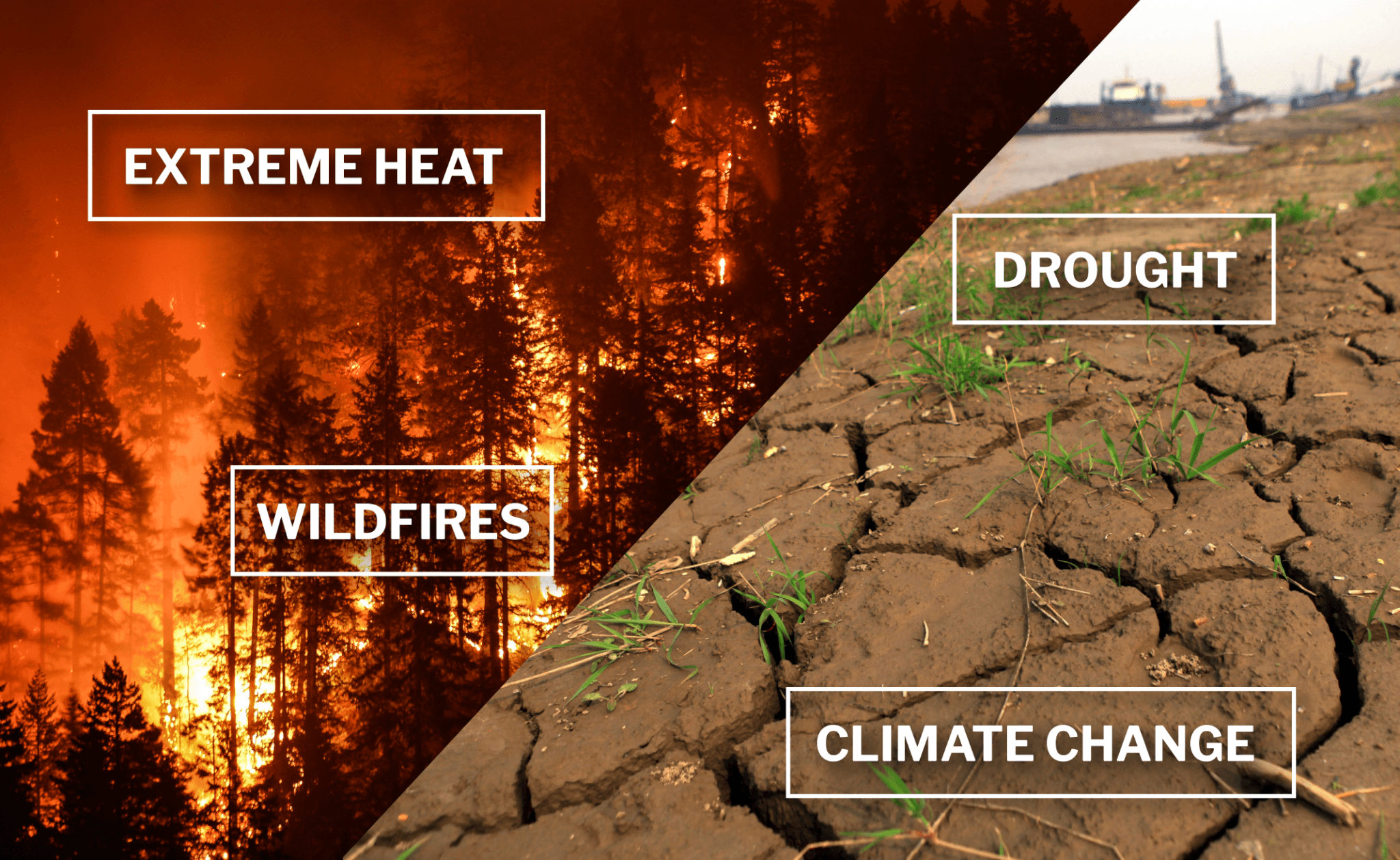 Godzilla, climate change, and the perfect storm brewing in the Tropical Pacific