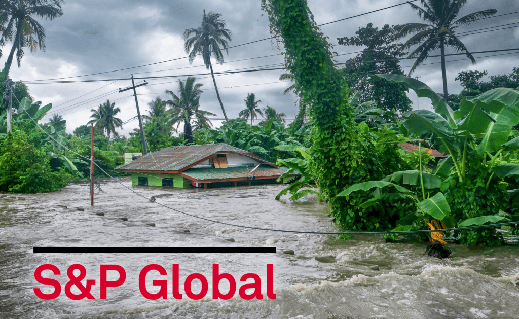 Global insurers resilient under 1-in-250-year catastrophe stress, but ...