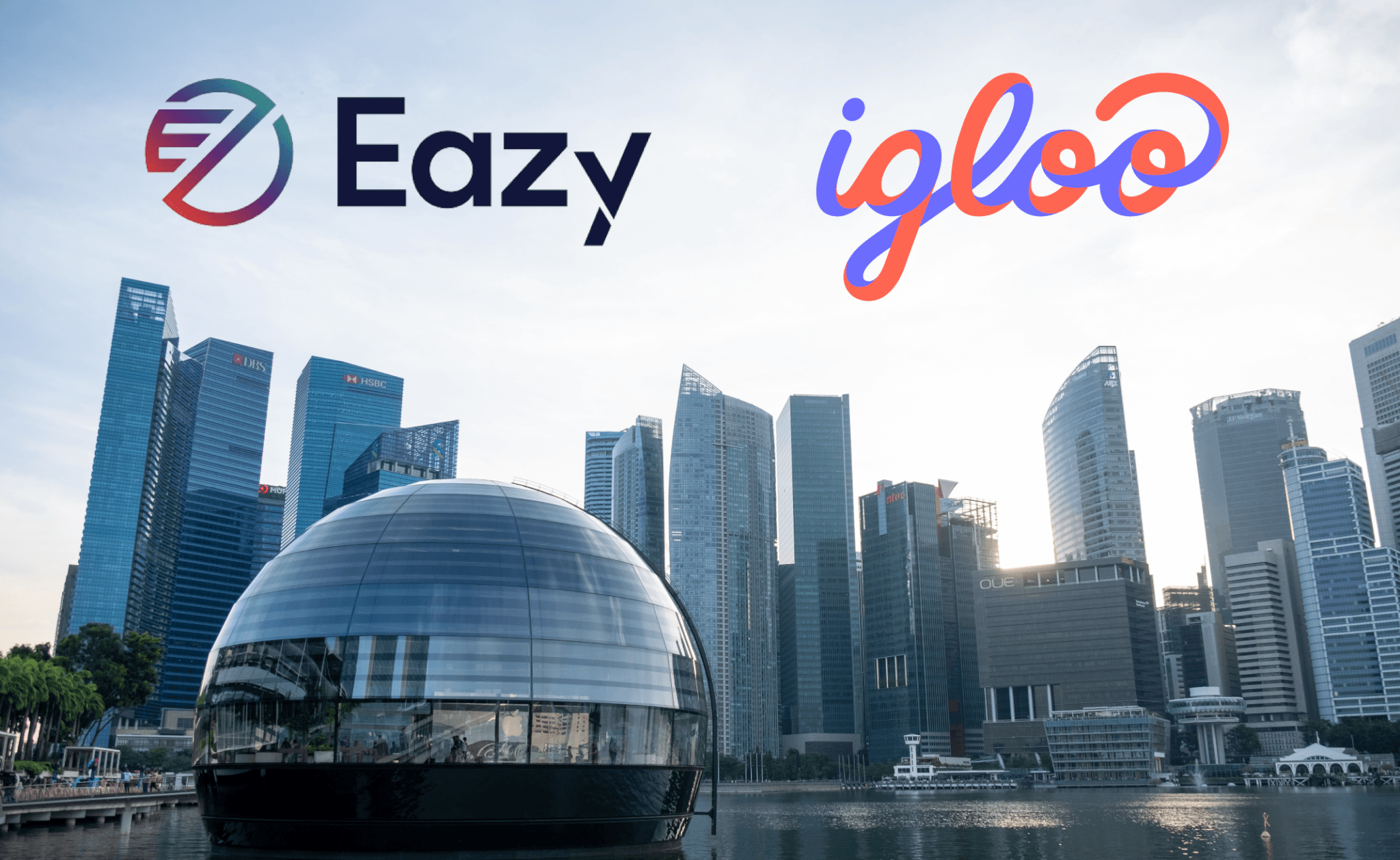 Igloo expands footprint with Eazy Digital acquisition