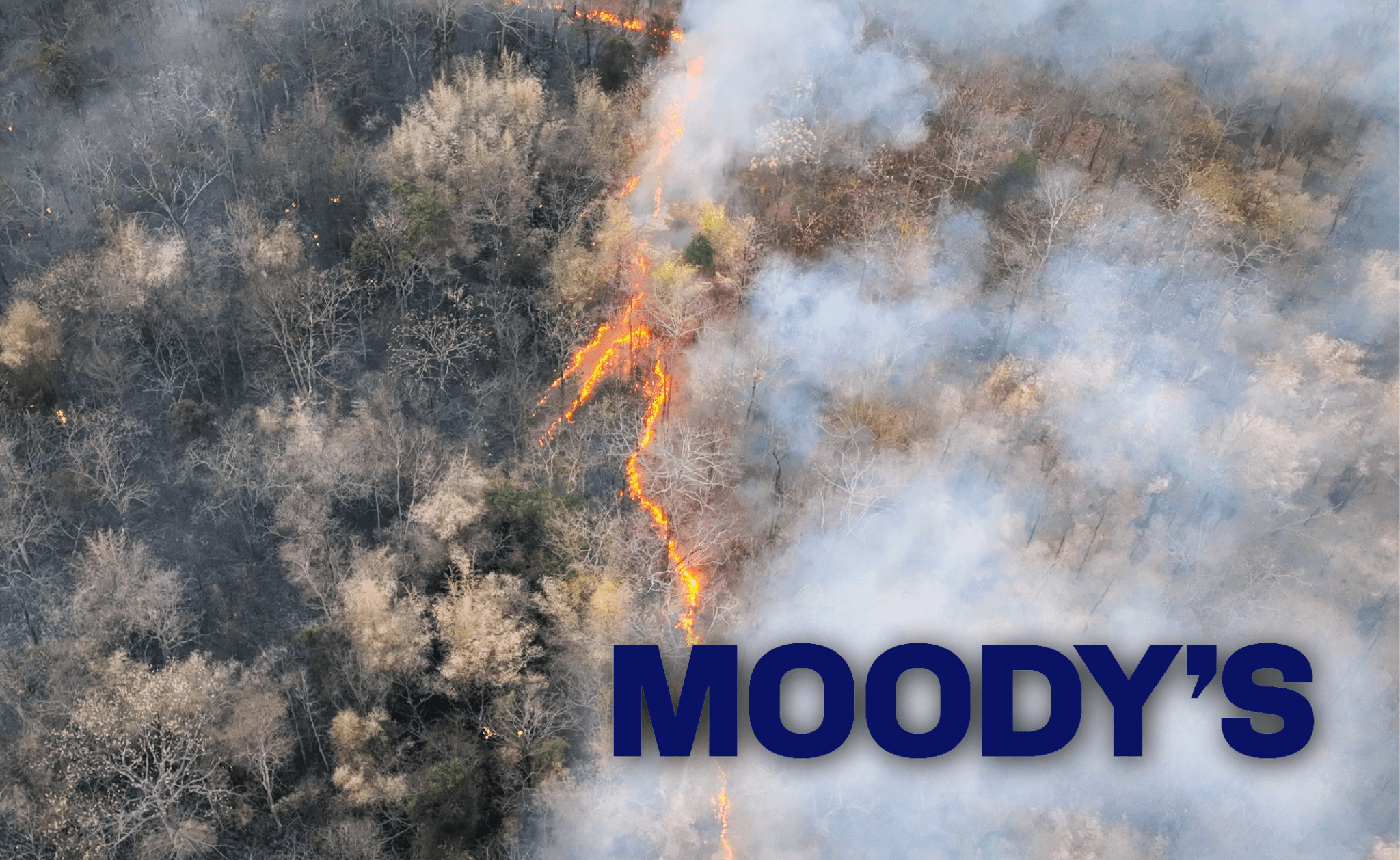 Moody's keeps stable reinsurance outlook as strong capital, discipline offset softer prices and rising risks